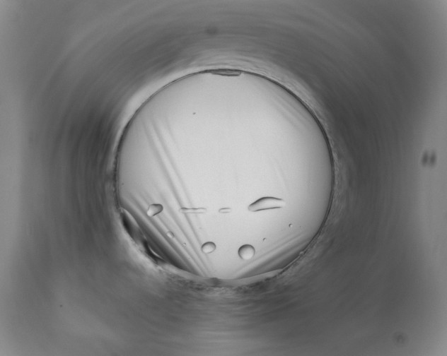 X0000113201536200910011244