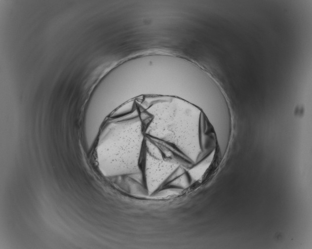 X0000113200001200910081303