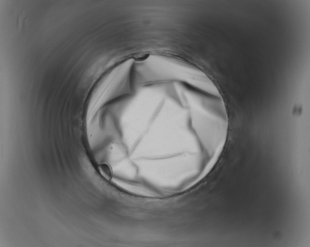X0000113200002200910081303