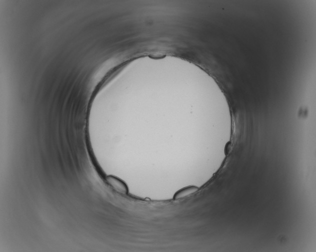 X0000113200003200910081303