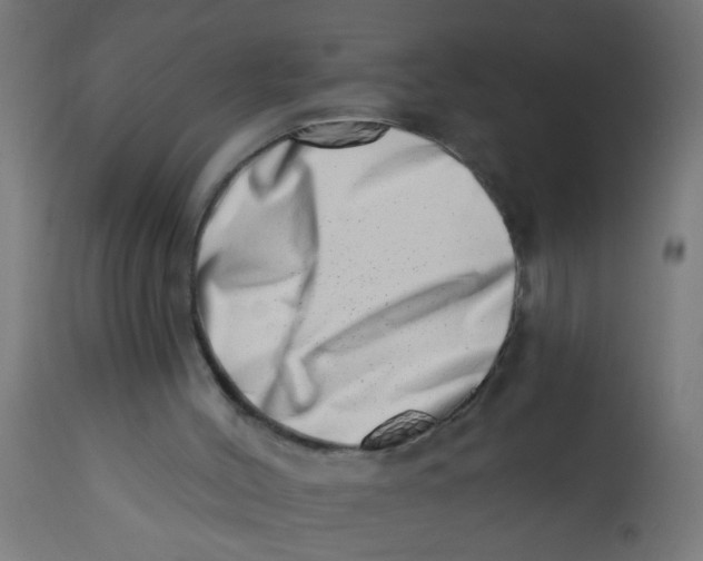 X0000113200004200910081303