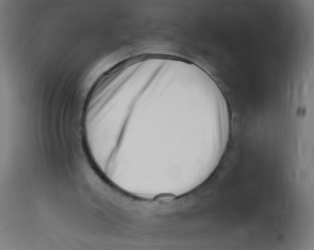 X0000113200007200910081303