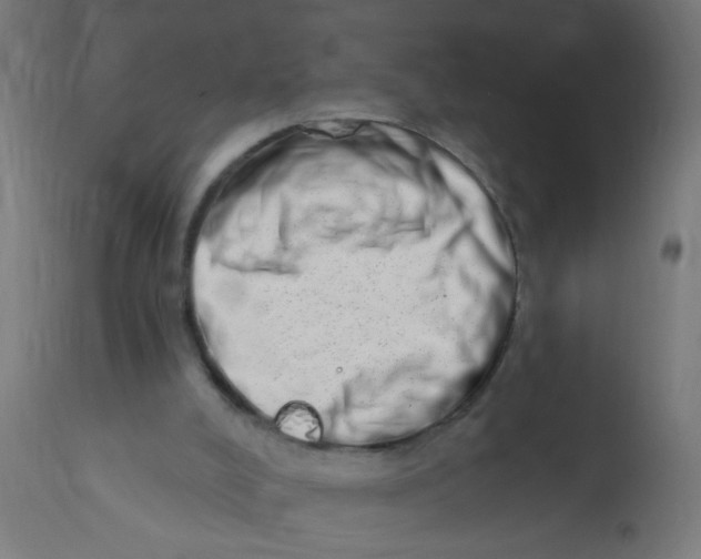 X0000113200008200910081303