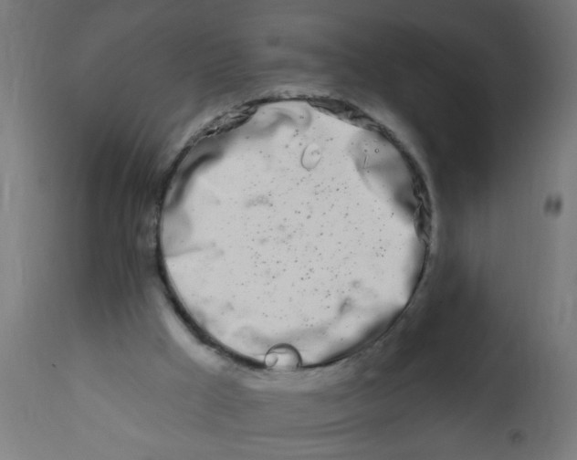 X0000113200009200910081303