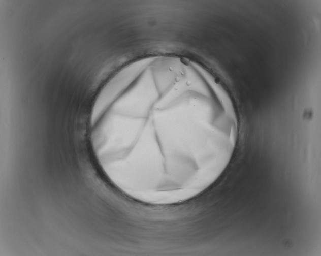 X0000113200010200910081303