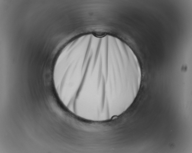 X0000113200012200910081303