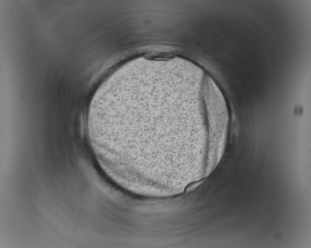 X0000113200013200910081303