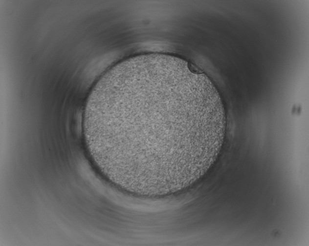 X0000113200014200910081303