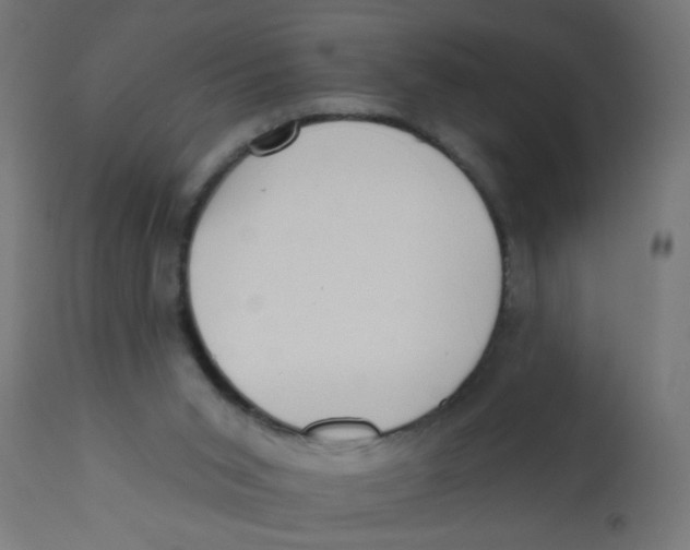 X0000113200015200910081303