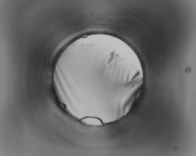 X0000113200016200910081303