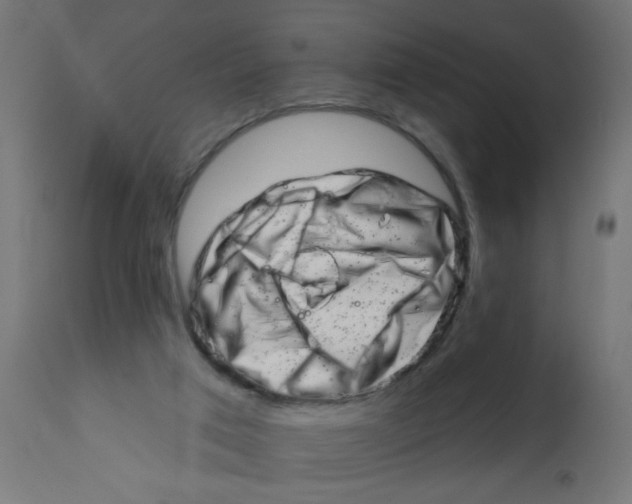 X0000113200017200910081303