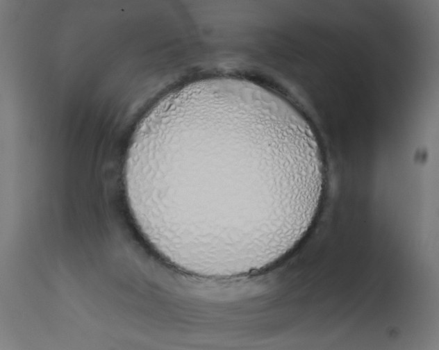 X0000113200018200910081303