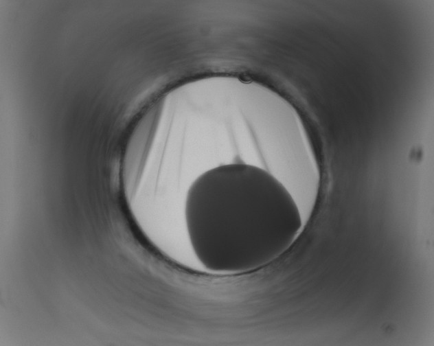 X0000113200019200910081302