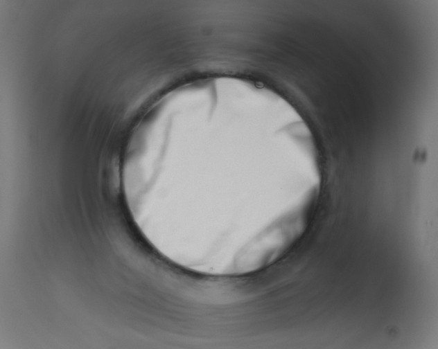X0000113200020200910081302