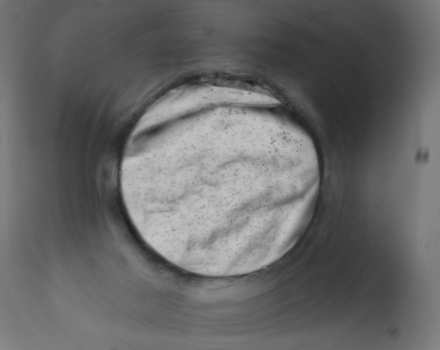 X0000113200021200910081302