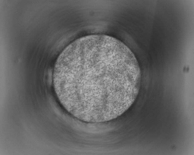 X0000113200022200910081302