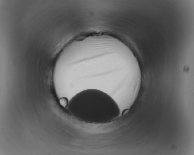 X0000113200023200910081302