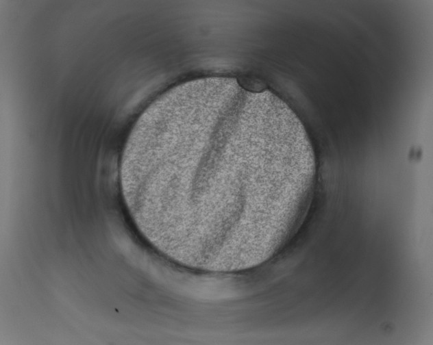 X0000113200024200910081302