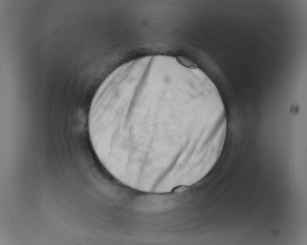 X0000113200025200910081302