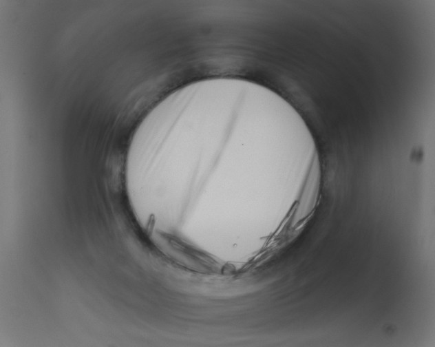 X0000113200026200910081302