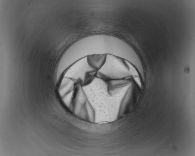X0000113200027200910081302