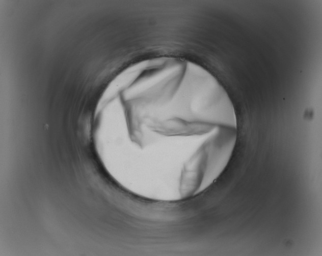X0000113200028200910081302