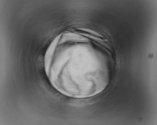X0000113200029200910081302