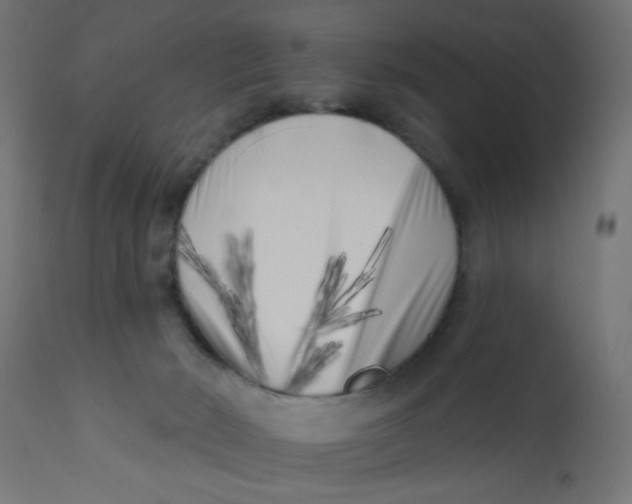 X0000113200030200910081302