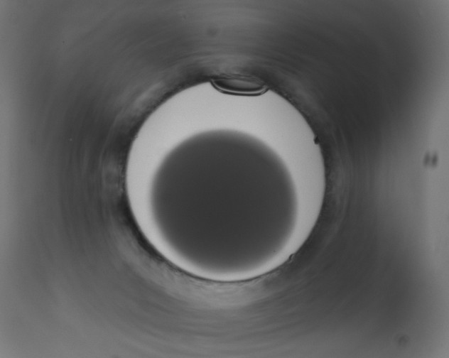 X0000113200031200910081302