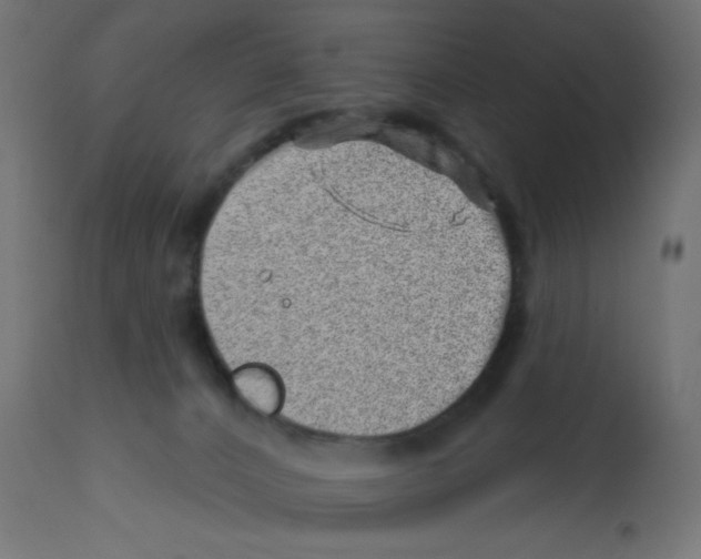 X0000113200032200910081302