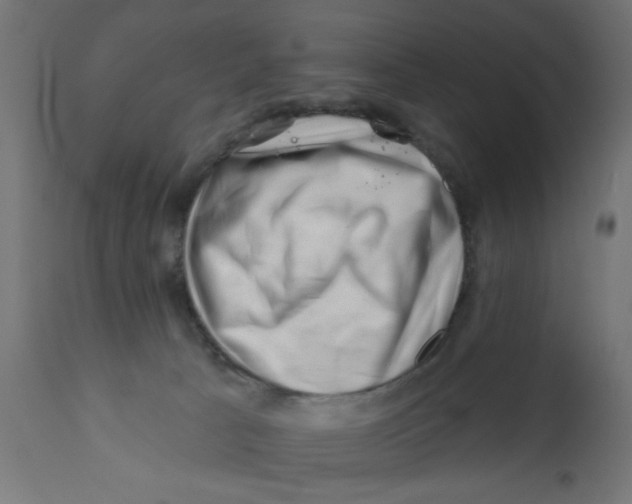 X0000113200033200910081302