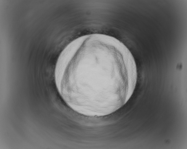 X0000113200034200910081302