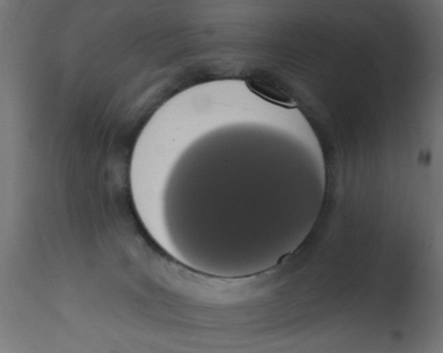 X0000113200035200910081302
