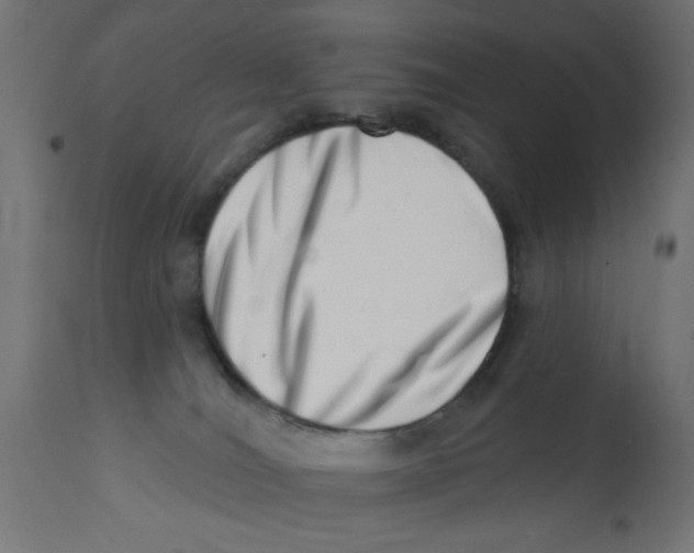 X0000113200036200910081302