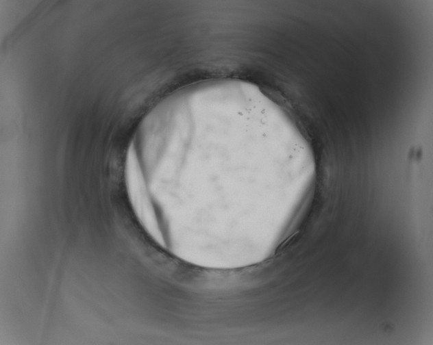 X0000113200037200910081302