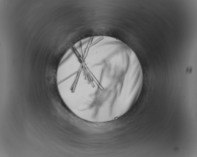 X0000113200038200910081302