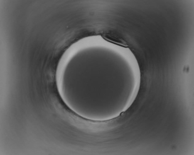 X0000113200039200910081302