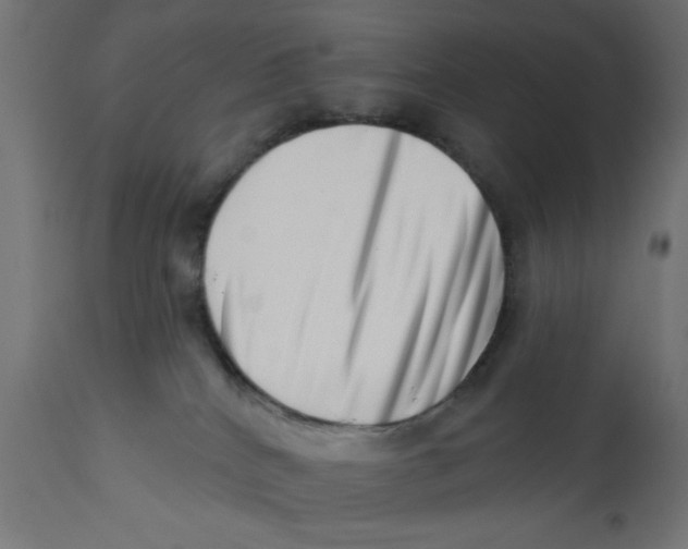 X0000113200040200910081302
