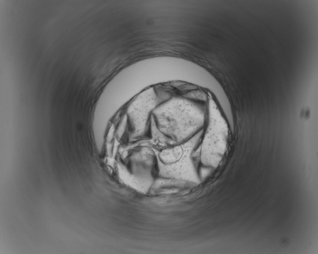 X0000113200041200910081302