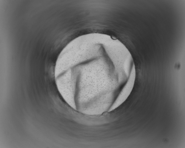 X0000113200042200910081302