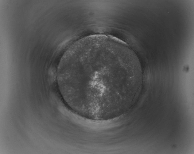 X0000113200043200910081302