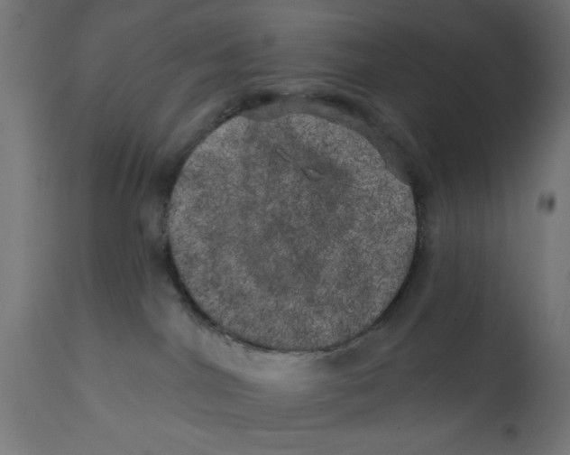 X0000113200044200910081302