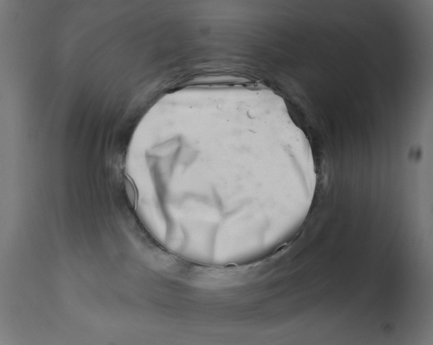 X0000113200045200910081302