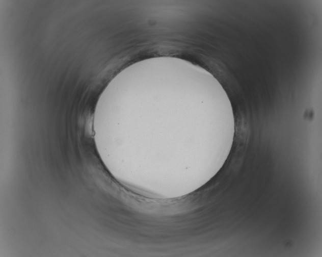 X0000113200046200910081302