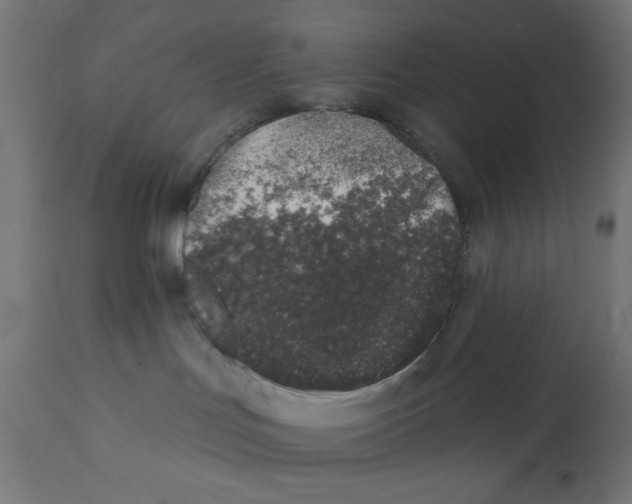 X0000113200047200910081302