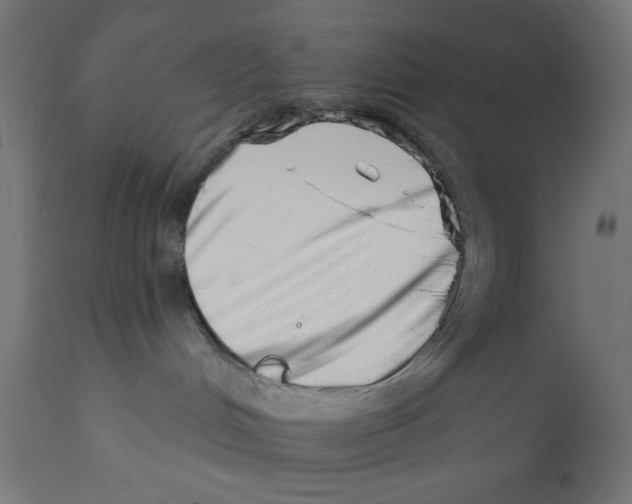 X0000113200048200910081302