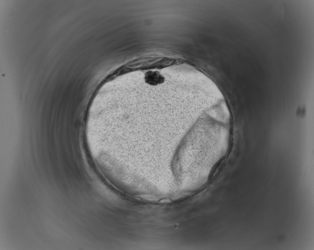 X0000113200049200910081301