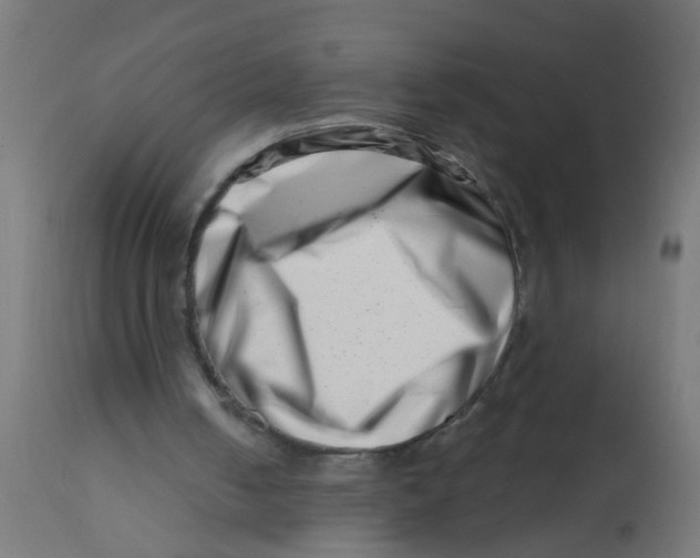 X0000113200050200910081301