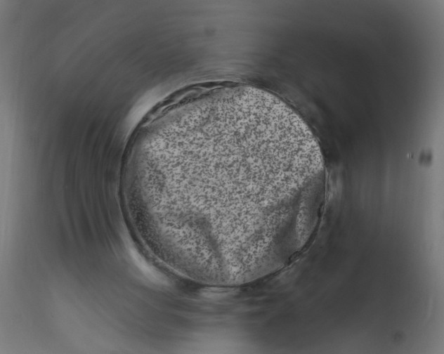 X0000113200051200910081301