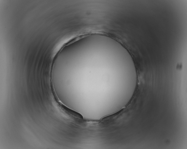 X0000113200052200910081301